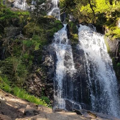 CASCADES DU TENDON ET JARDIN DE BERCHIGRANGES