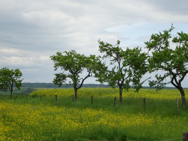 Dsc03476