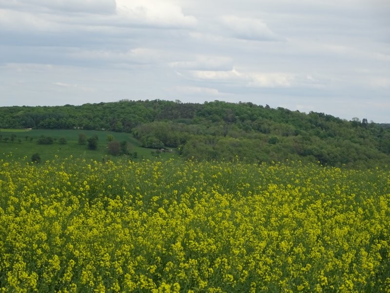 Dsc03479