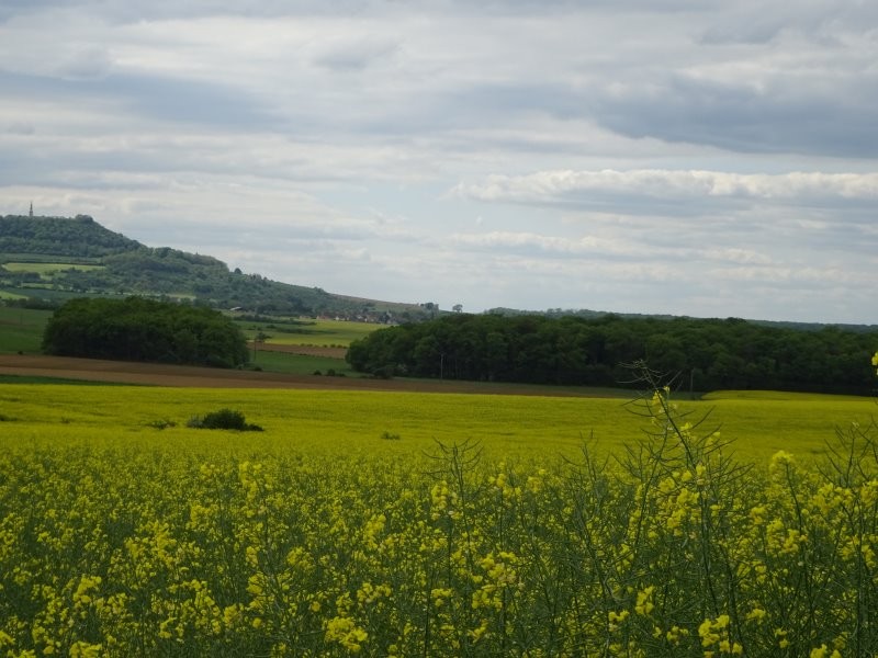 Dsc03484