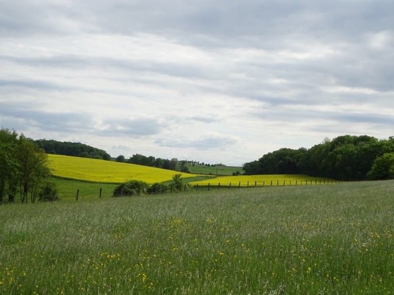 Dsc03496