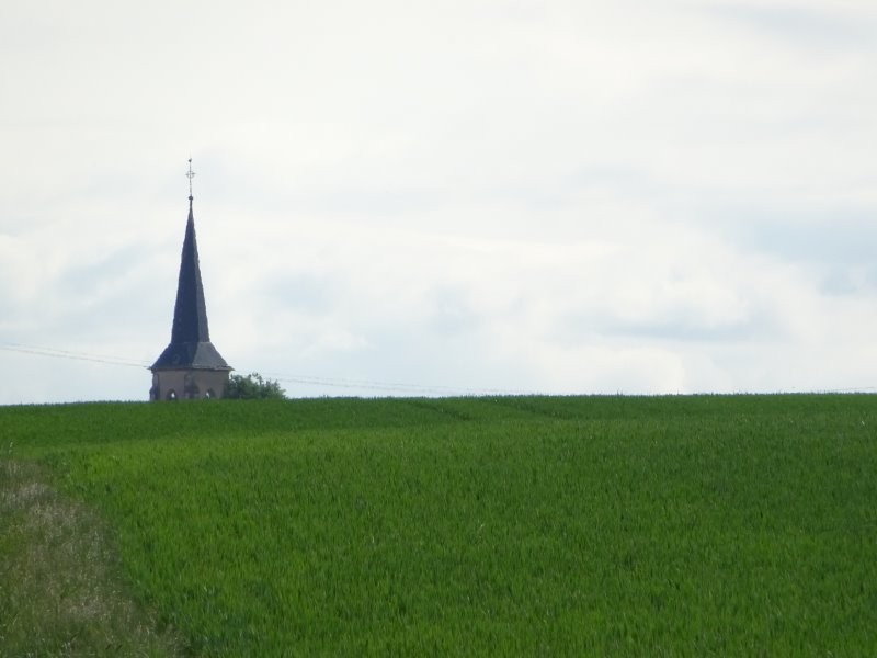 Dsc03497