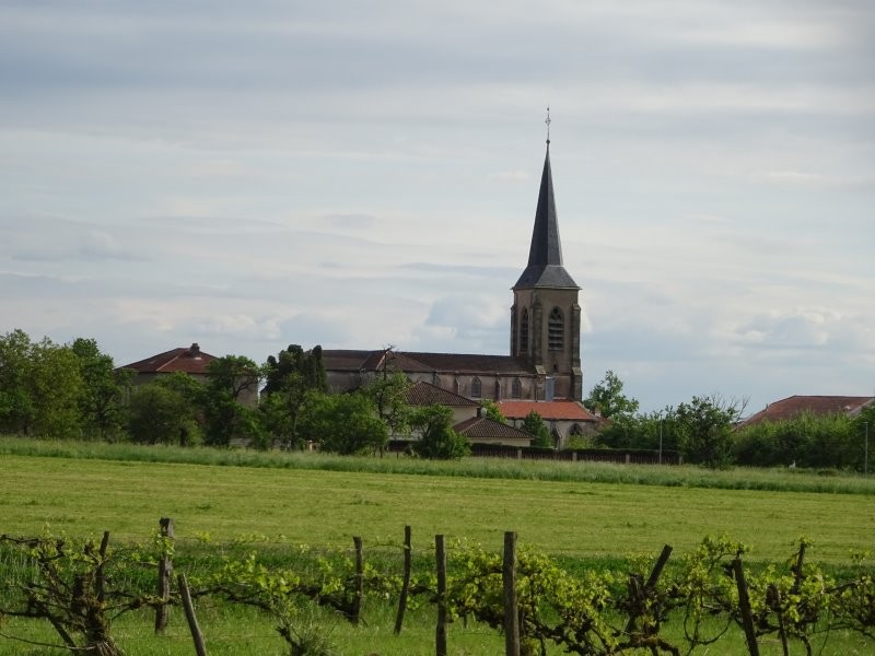Dsc03498